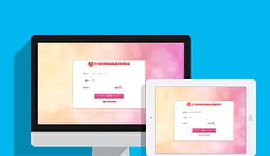 河北市妇联数据信息三级报送系统