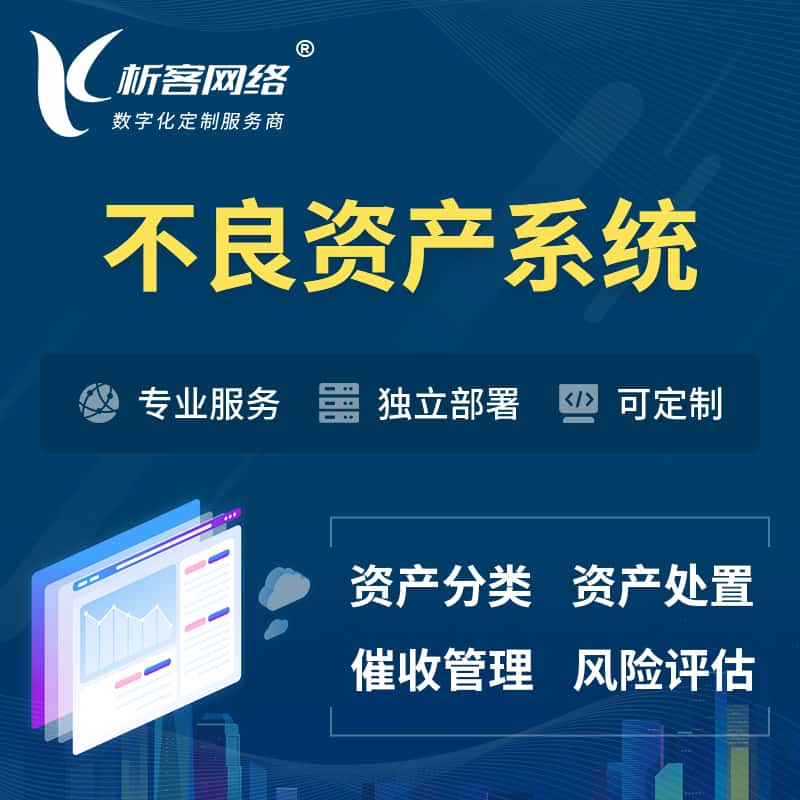 河北不良资产管理系统