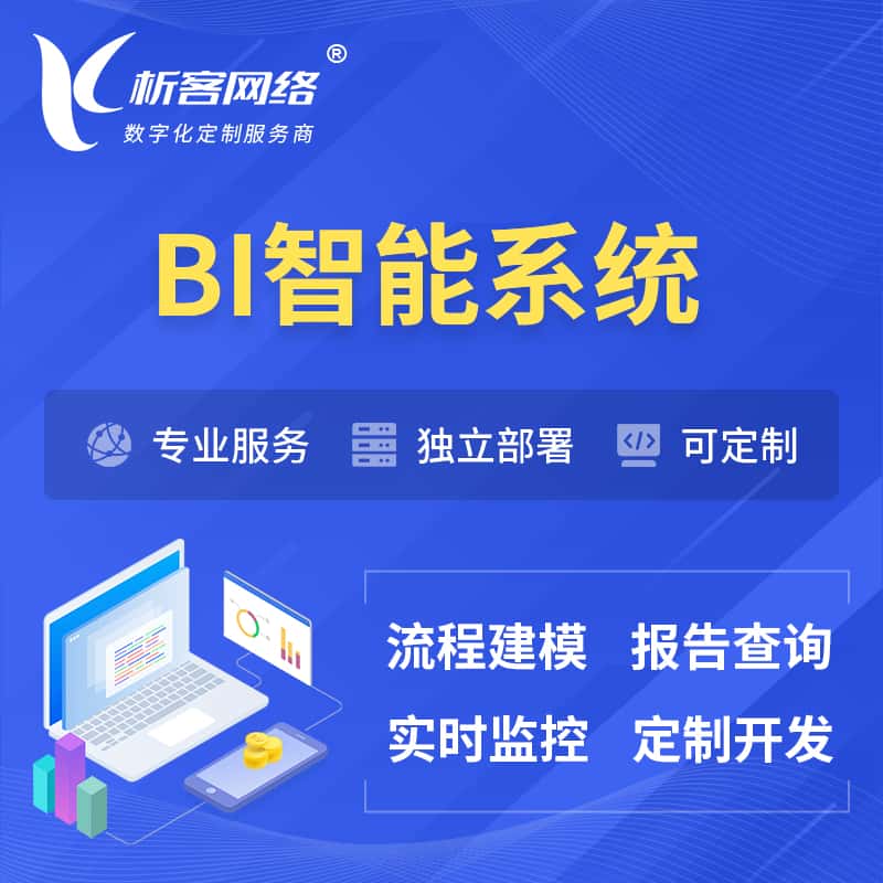 河北BI智能系统 | BI数据可视化